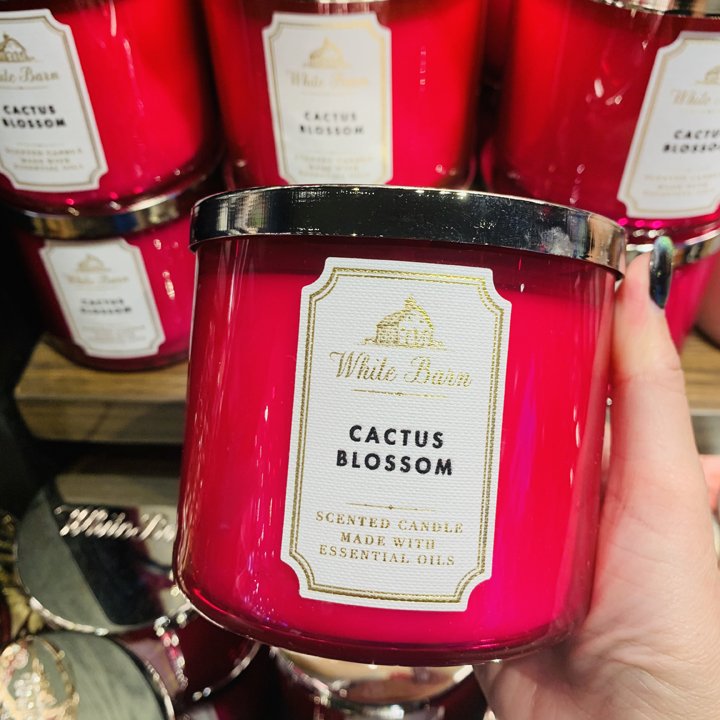 does bath and body works sell white barn candles